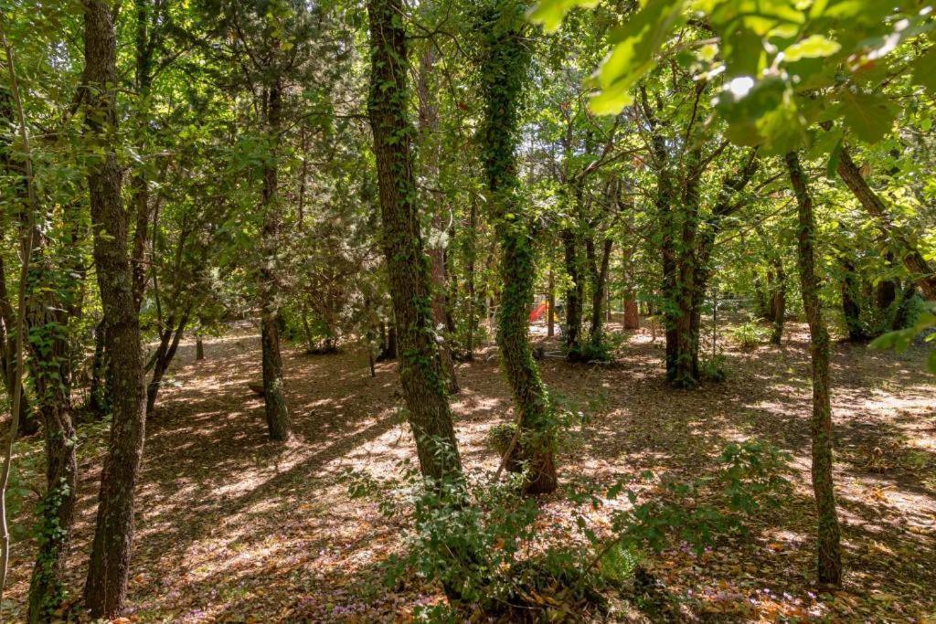 Ln Etna House-Villa Ad Uso Esclusivo Pedara Luaran gambar